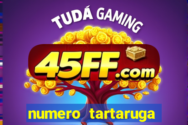 numero tartaruga jogo do bicho
